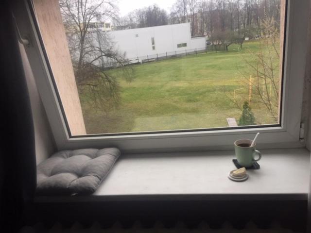 Studija Virs Cukraines Druskininkuose Druskininkai Exterior foto